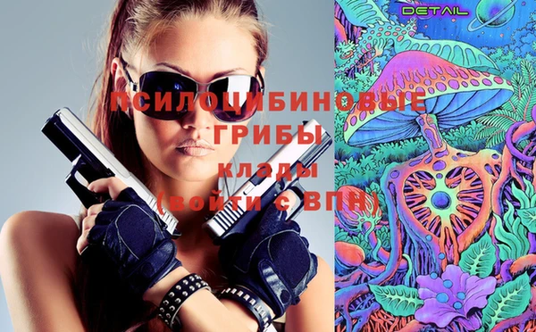 ECSTASY Абаза